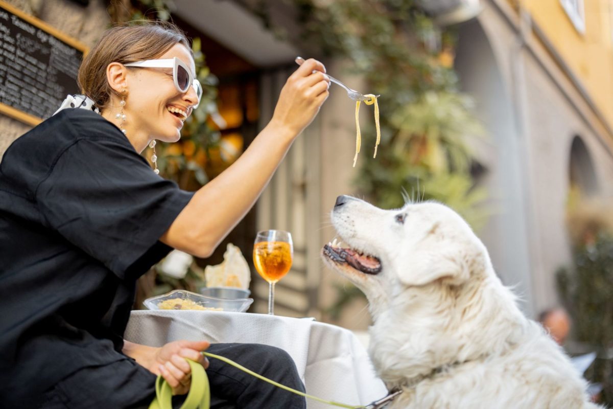 dog friendly restaurant in st. augustine